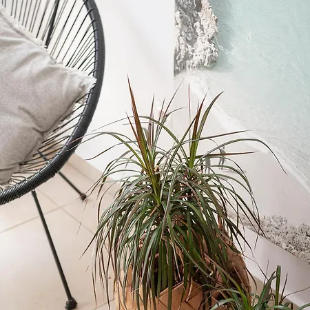 Villa Seametry Chania (Crete)