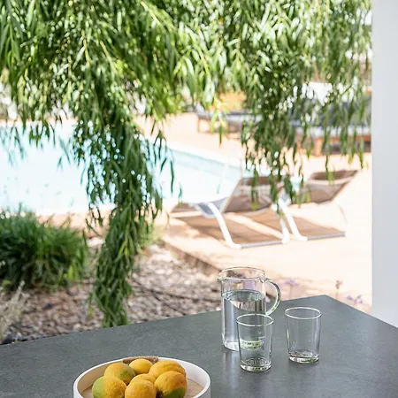 Villa Seametry Luxury Living Chania (Crete)